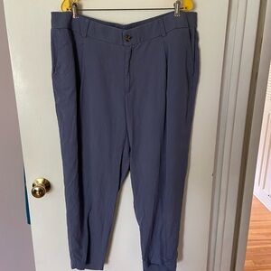 torrid pants size 22